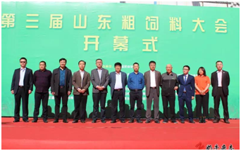 1493264020521258.jpg 1493263718(1).jpg