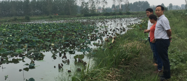 1506736992845793.png 圖片5.png