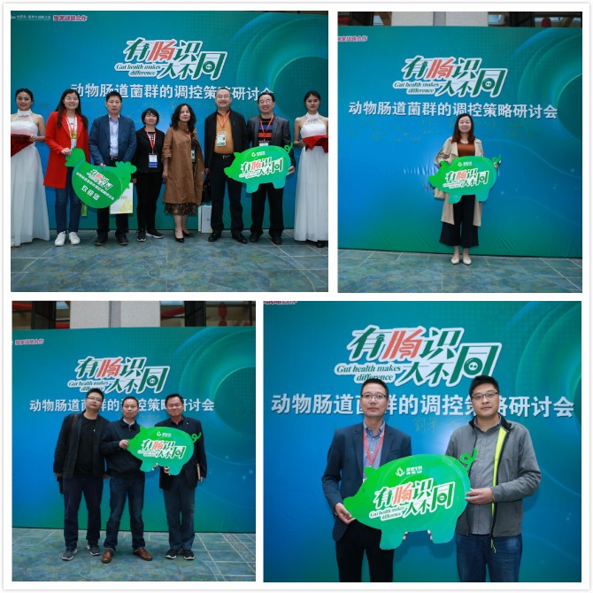 1524186861124682.jpg 1.1.jpg