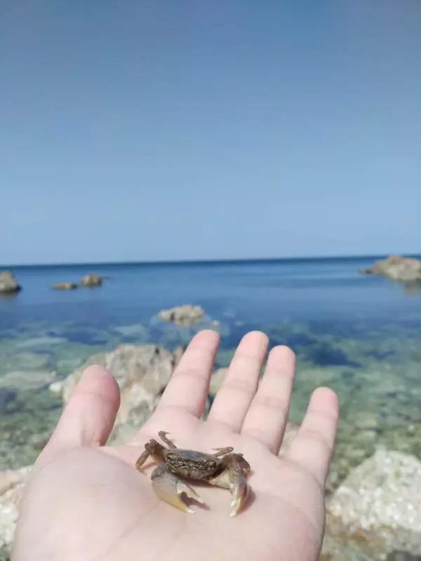 1530695767493526.jpg 微信圖片_20180704171458.jpg