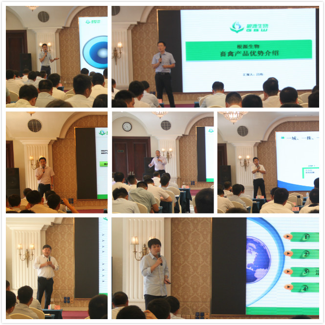 1564017711521500.jpg 拼圖_meitu_1.jpg