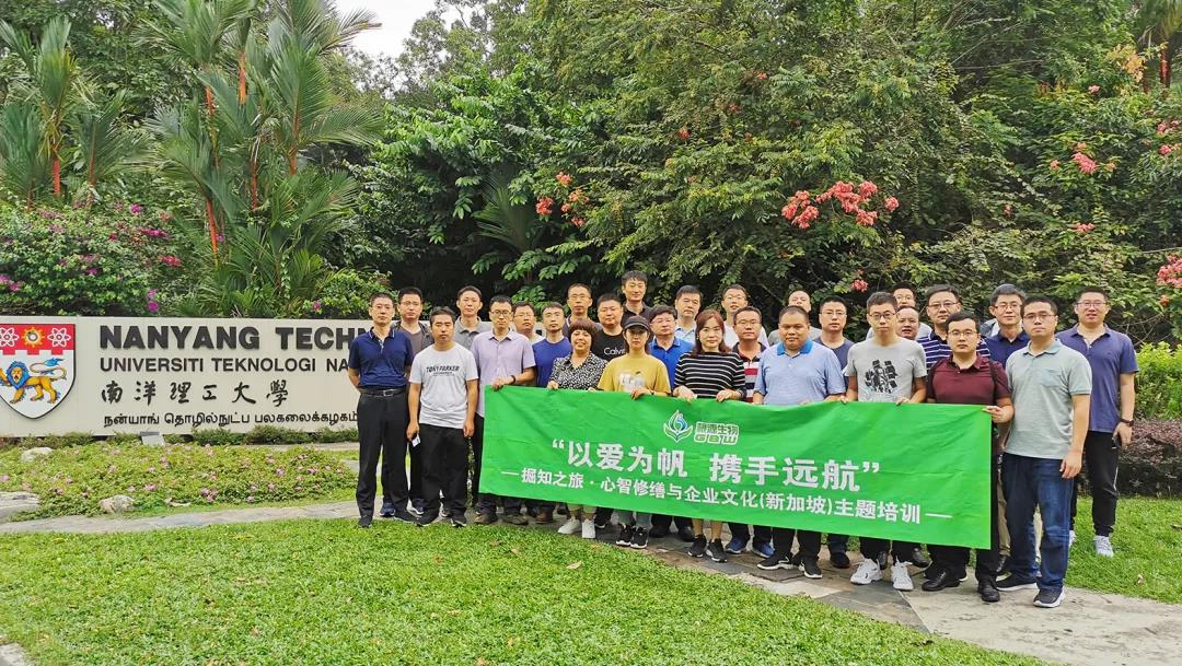 1576044984991987.jpg 6.jpg