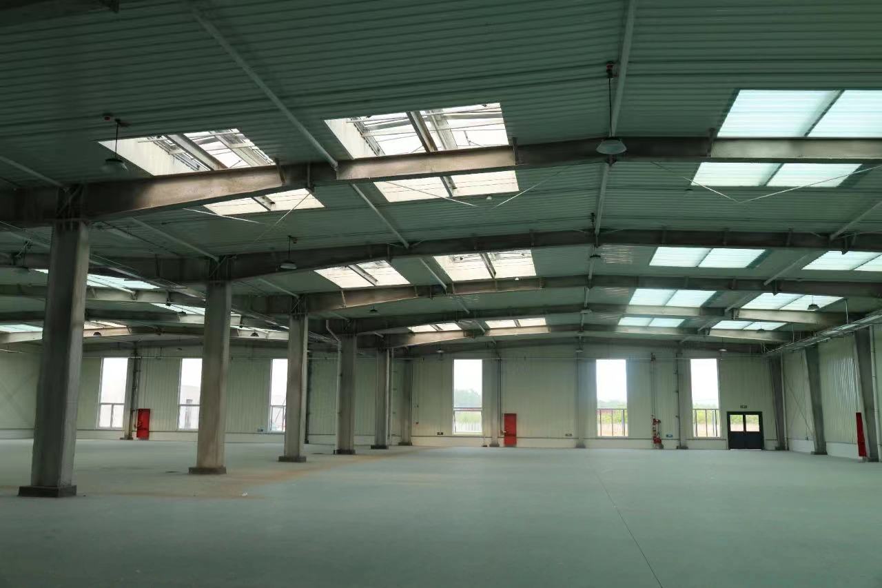 1735611773818493.jpg 4.jpg