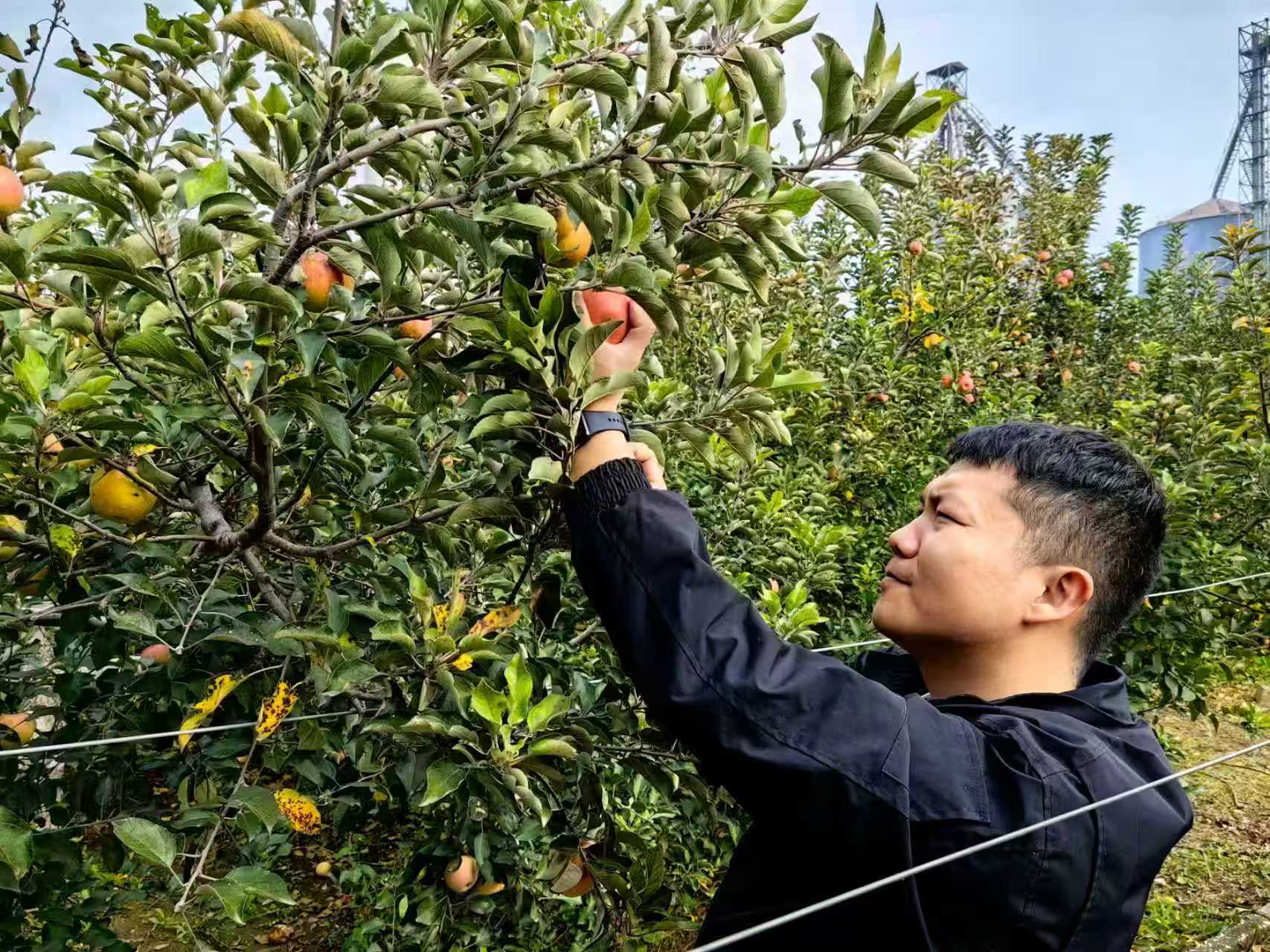 1763000071532731.jpg 微信圖片_20251113101401_730_146.jpg